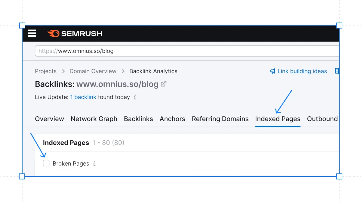 backlink-analysis-semrush-indexed-pages