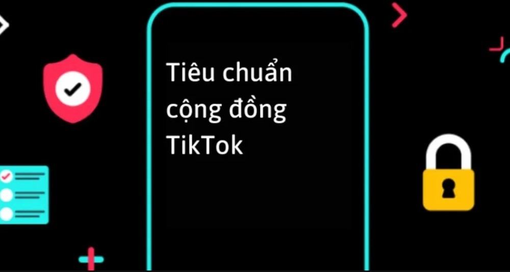 go-vi-pham-tieu-chuan-cong-dong-tren-tiktok-02.jpg