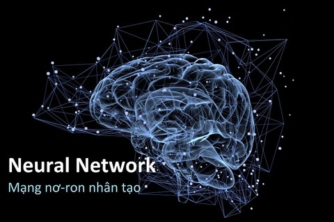 Neural Network là gì?